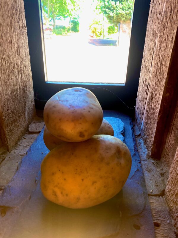 Carfrae Farm Shop Baking Potatoes