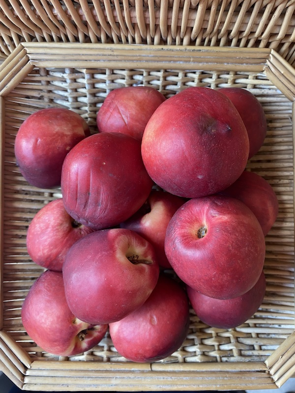Nectarine