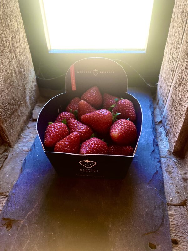 Carfrae farm Shop Strawberries