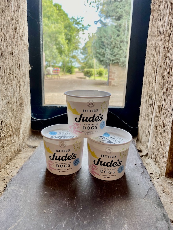 Jude's Ice Cream for Dogs 90ml