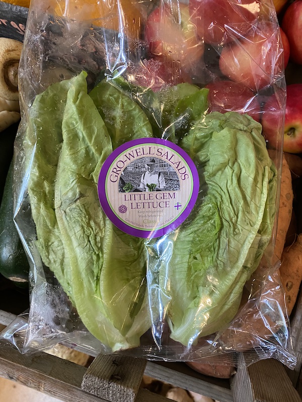 Little Gem Lettuce pack of 2