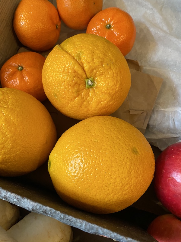 Large Fresh Orange