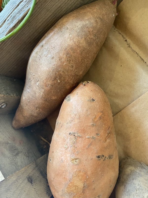 fresh sweet potato